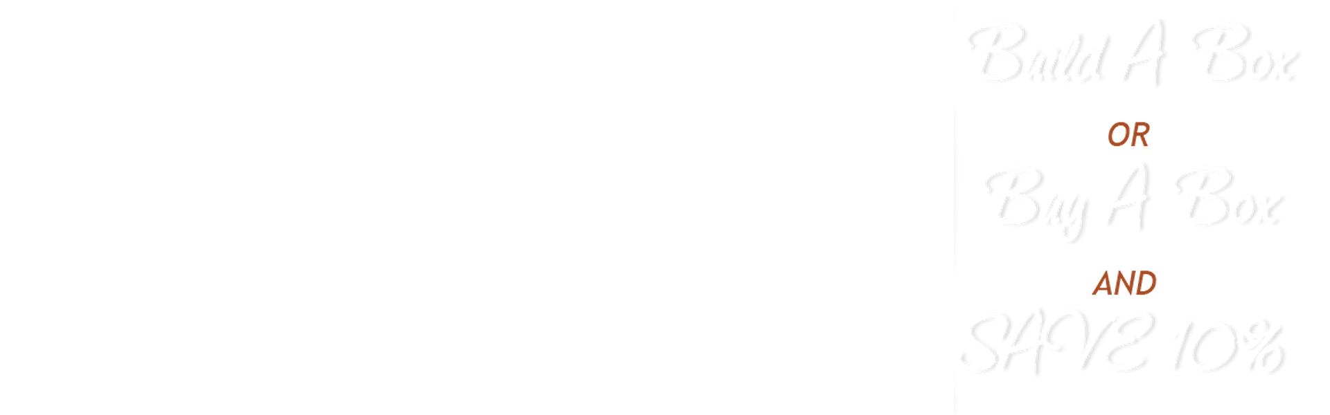 Go Max Go hero image